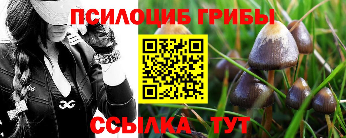 Псилоцибиновые грибы MAGIC MUSHROOMS Воскресенск