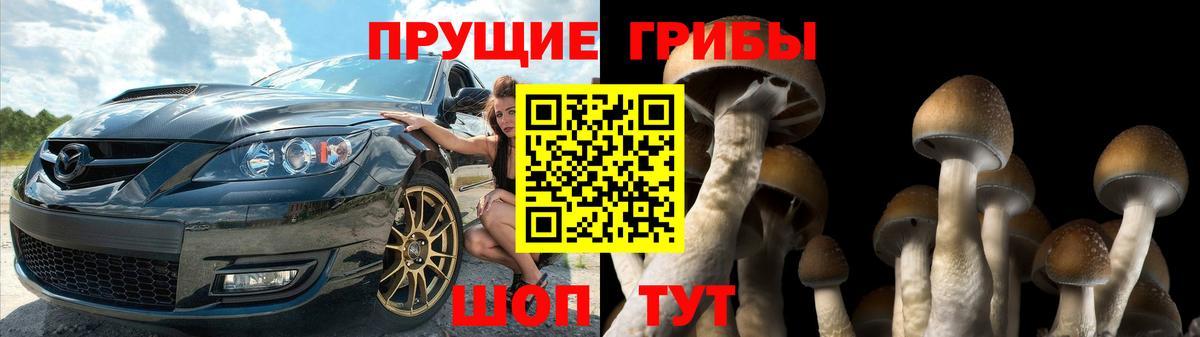 Галлюциногенные грибы MAGIC MUSHROOMS  Вход с VPN  Воскресенск  Псилоцибиновые грибы ЛСД 